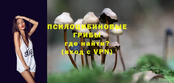мяу мяу мука Баксан