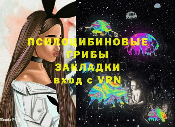мяу мяу мука Баксан