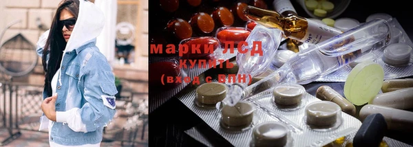 мяу мяу мука Баксан